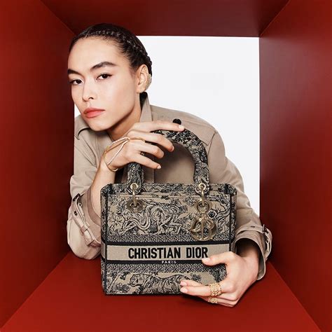 most iconic dior bag|christian Dior cloth tote bag.